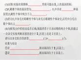 新教材高考生物一轮复习能力素养提升课5基因定位的遗传实验设计与分析课件