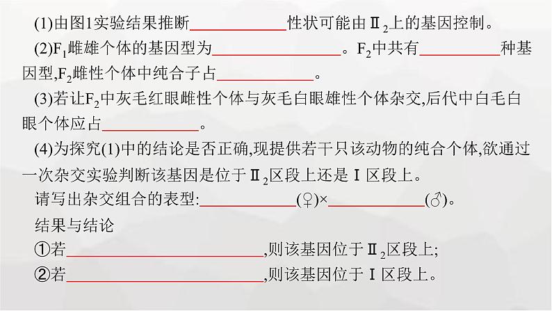 新教材高考生物一轮复习能力素养提升课5基因定位的遗传实验设计与分析课件第3页