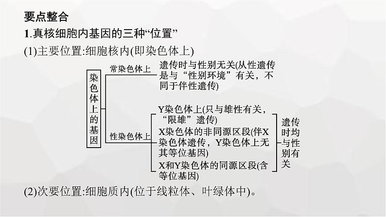 新教材高考生物一轮复习能力素养提升课5基因定位的遗传实验设计与分析课件第6页