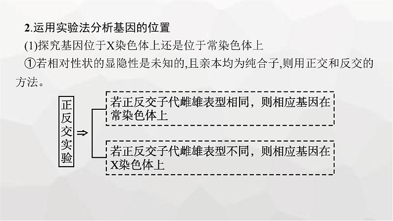 新教材高考生物一轮复习能力素养提升课5基因定位的遗传实验设计与分析课件第7页