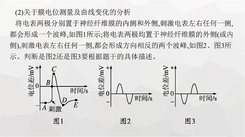 新教材高考生物一轮复习能力素养提升课6电表偏转问题及兴奋传导方向的实验探究课件第5页