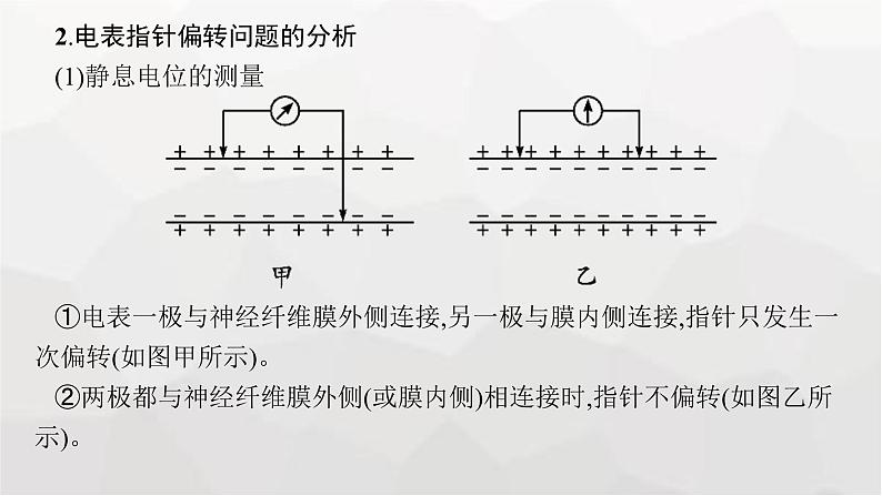 新教材高考生物一轮复习能力素养提升课6电表偏转问题及兴奋传导方向的实验探究课件第6页