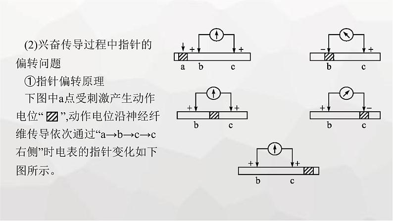 新教材高考生物一轮复习能力素养提升课6电表偏转问题及兴奋传导方向的实验探究课件第7页