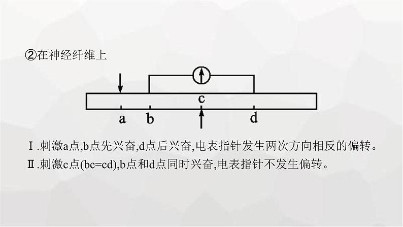 新教材高考生物一轮复习能力素养提升课6电表偏转问题及兴奋传导方向的实验探究课件第8页