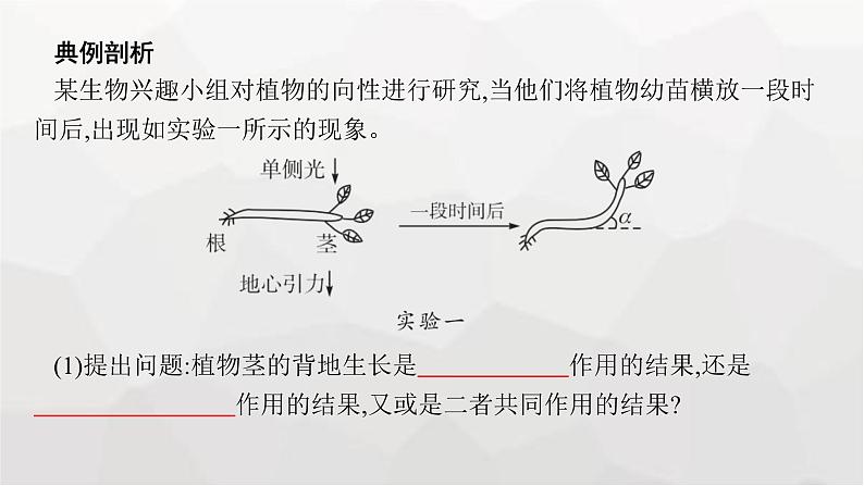 新教材高考生物一轮复习能力素养提升课7与植物激素相关的实验设计课件第2页