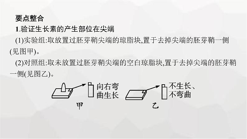 新教材高考生物一轮复习能力素养提升课7与植物激素相关的实验设计课件第7页