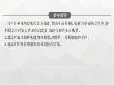新教材高考生物一轮复习第1单元走近细胞组成细胞的分子第1讲走近细胞课件