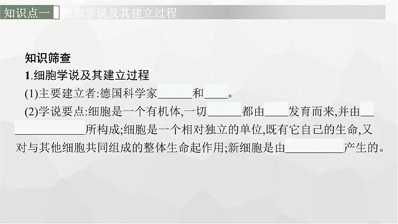 新教材高考生物一轮复习第1单元走近细胞组成细胞的分子第1讲走近细胞课件06