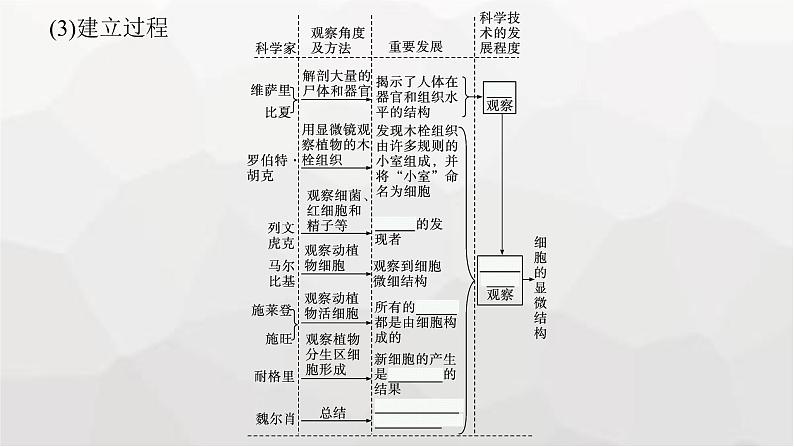 新教材高考生物一轮复习第1单元走近细胞组成细胞的分子第1讲走近细胞课件07