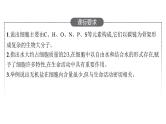 新教材高考生物一轮复习第1单元走近细胞组成细胞的分子第2讲细胞中的元素和化合物、细胞中的无机物课件
