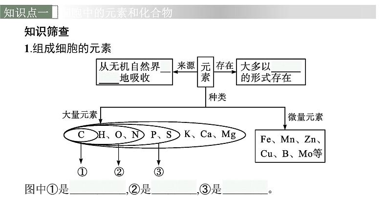 新教材高考生物一轮复习第1单元走近细胞组成细胞的分子第2讲细胞中的元素和化合物、细胞中的无机物课件06