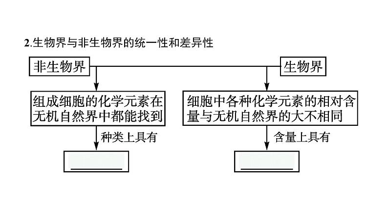 新教材高考生物一轮复习第1单元走近细胞组成细胞的分子第2讲细胞中的元素和化合物、细胞中的无机物课件07