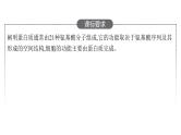 新教材高考生物一轮复习第1单元走近细胞组成细胞的分子第3讲蛋白质是生命活动的主要承担者课件