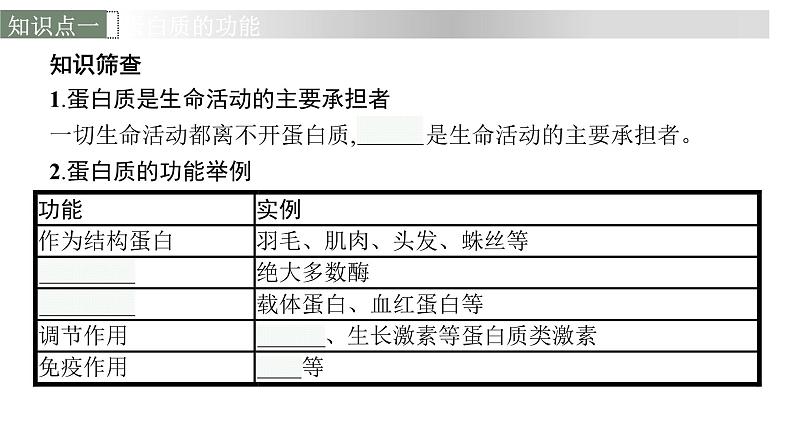 新教材高考生物一轮复习第1单元走近细胞组成细胞的分子第3讲蛋白质是生命活动的主要承担者课件06