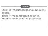 新教材高考生物一轮复习第1单元第4讲细胞中的糖类和脂质、核酸是遗传信息的携带者课件