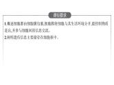 新教材高考生物一轮复习第2单元第1讲细胞膜的结构和功能、细胞核的结构和功能课件