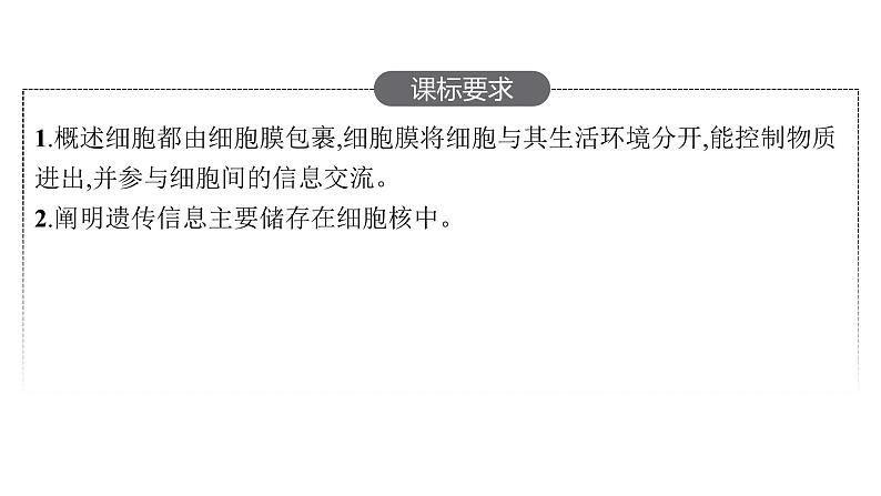 新教材高考生物一轮复习第2单元第1讲细胞膜的结构和功能、细胞核的结构和功能课件02