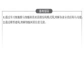 新教材高考生物一轮复习第2单元第1讲细胞膜的结构和功能、细胞核的结构和功能课件