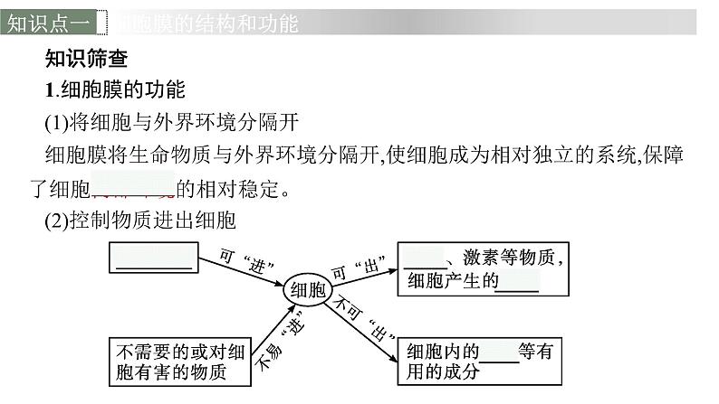 新教材高考生物一轮复习第2单元第1讲细胞膜的结构和功能、细胞核的结构和功能课件06