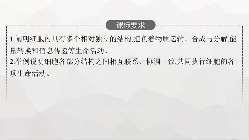 新教材高考生物一轮复习第2单元细胞的基本结构 细胞的物质输入和输出第2讲细胞器之间的分工合作课件02