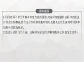 新教材高考生物一轮复习第2单元细胞的基本结构 细胞的物质输入和输出第2讲细胞器之间的分工合作课件
