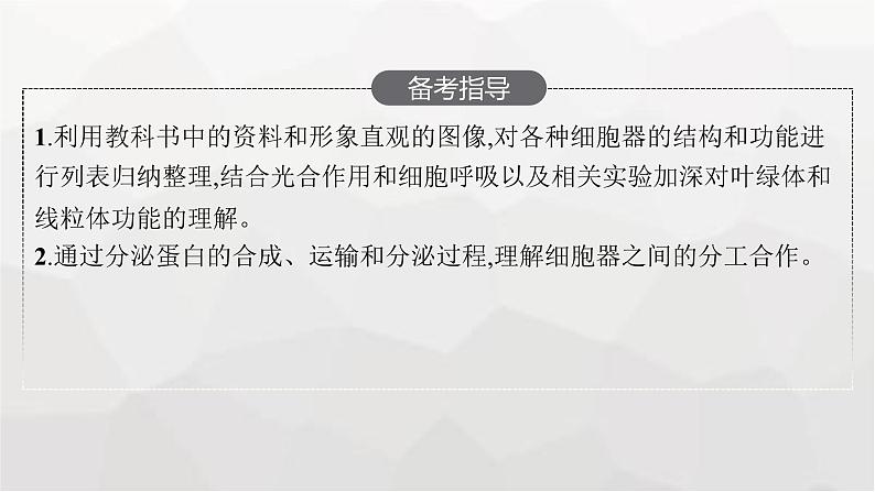 新教材高考生物一轮复习第2单元细胞的基本结构 细胞的物质输入和输出第2讲细胞器之间的分工合作课件03