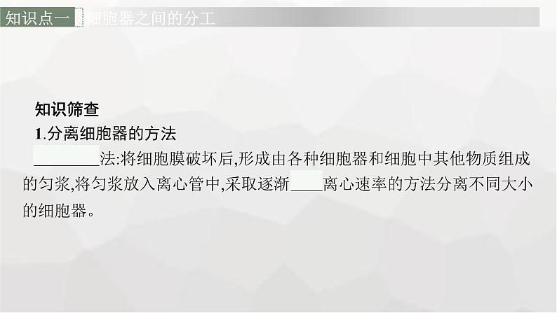 新教材高考生物一轮复习第2单元细胞的基本结构 细胞的物质输入和输出第2讲细胞器之间的分工合作课件06