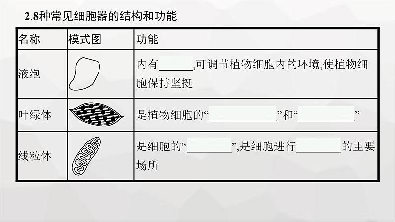 新教材高考生物一轮复习第2单元细胞的基本结构 细胞的物质输入和输出第2讲细胞器之间的分工合作课件07