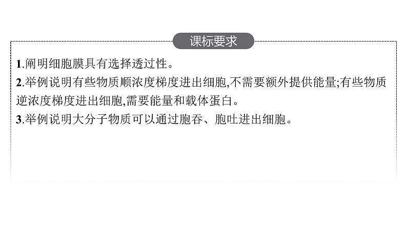 新教材高考生物一轮复习第2单元细胞的基本结构 细胞的物质输入和输出第3讲细胞的物质输入和输出课件第2页