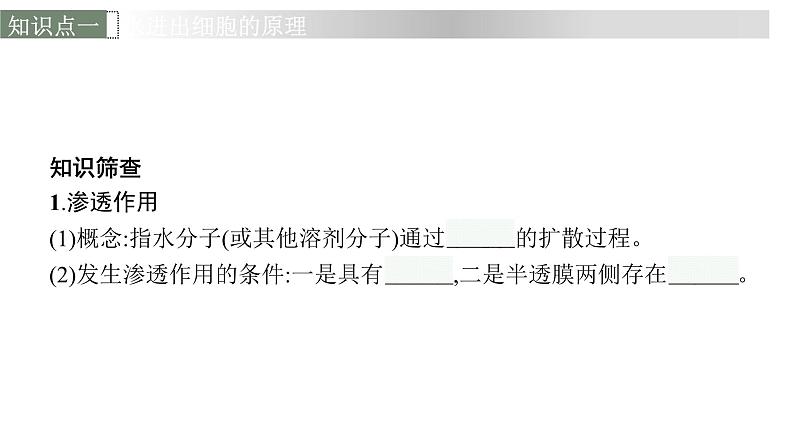 新教材高考生物一轮复习第2单元细胞的基本结构 细胞的物质输入和输出第3讲细胞的物质输入和输出课件第6页