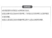 新教材高考生物一轮复习第3单元第2讲细胞的能量“货币”ATP、细胞呼吸的原理和应用课件
