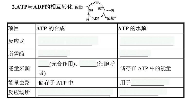 新教材高考生物一轮复习第3单元第2讲细胞的能量“货币”ATP、细胞呼吸的原理和应用课件08