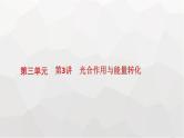新教材高考生物一轮复习第3单元细胞的能量供应和利用第3讲光合作用与能量转化课件