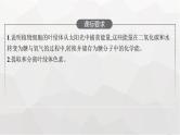 新教材高考生物一轮复习第3单元细胞的能量供应和利用第3讲光合作用与能量转化课件