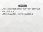 新教材高考生物一轮复习第3单元细胞的能量供应和利用第3讲光合作用与能量转化课件