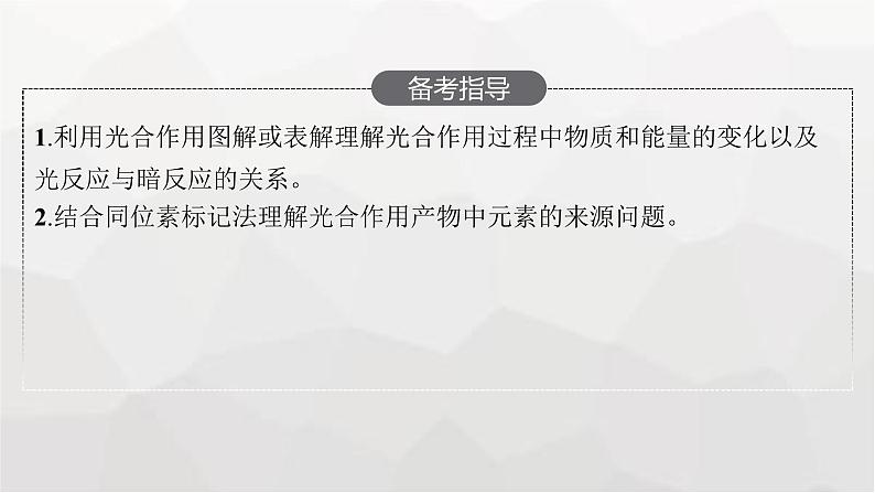 新教材高考生物一轮复习第3单元细胞的能量供应和利用第3讲光合作用与能量转化课件第3页