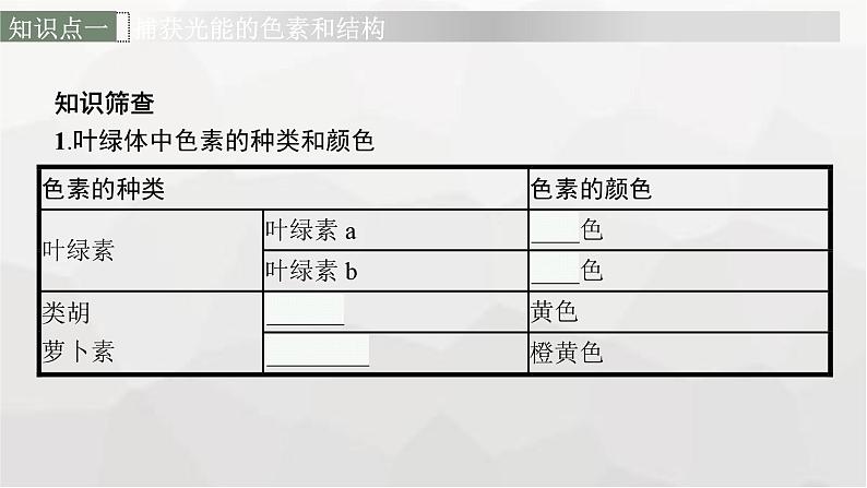 新教材高考生物一轮复习第3单元细胞的能量供应和利用第3讲光合作用与能量转化课件第6页