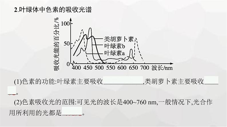 新教材高考生物一轮复习第3单元细胞的能量供应和利用第3讲光合作用与能量转化课件第7页