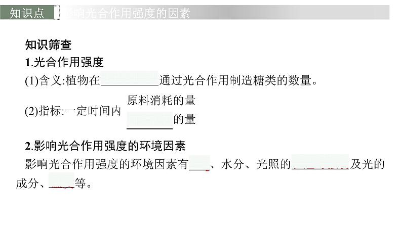 新教材高考生物一轮复习第3单元细胞的能量供应和利用第4讲影响光合作用强度的内外因素课件第6页