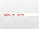 新教材高考生物一轮复习第4单元细胞的生命历程第1讲细胞的增殖课件