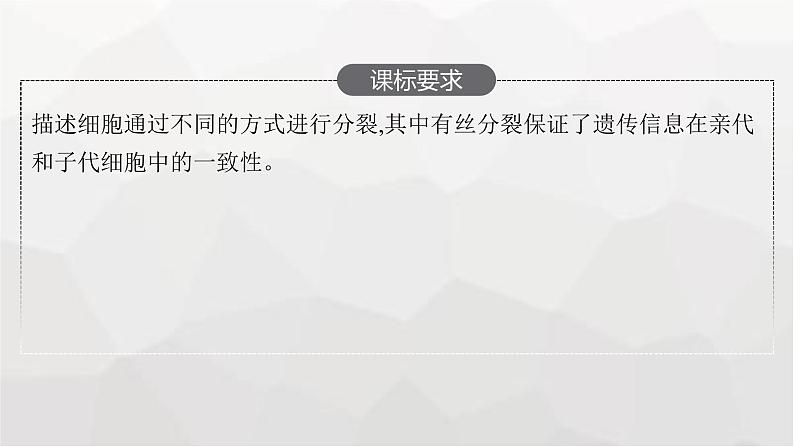 新教材高考生物一轮复习第4单元细胞的生命历程第1讲细胞的增殖课件第2页