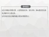 新教材高考生物一轮复习第4单元细胞的生命历程第1讲细胞的增殖课件