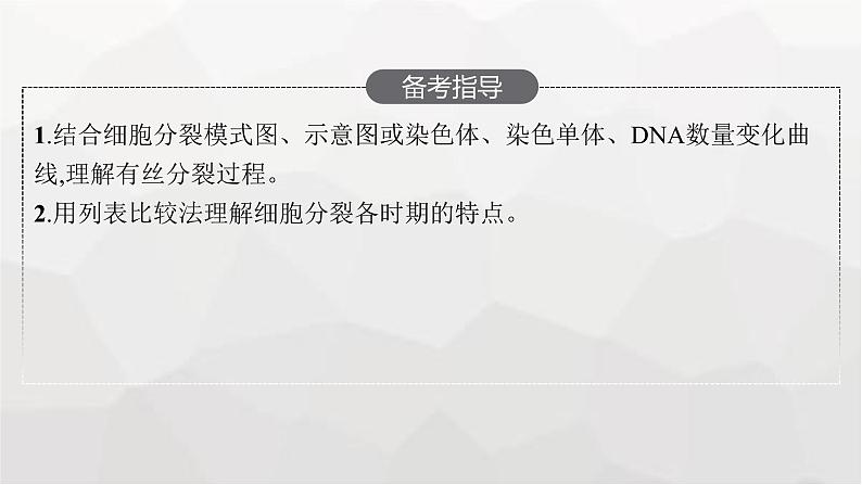 新教材高考生物一轮复习第4单元细胞的生命历程第1讲细胞的增殖课件第3页