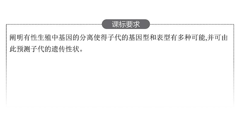 新教材高考生物一轮复习第5单元遗传因子的发现和伴性遗传第1讲孟德尔的豌豆杂交实验(一)课件02