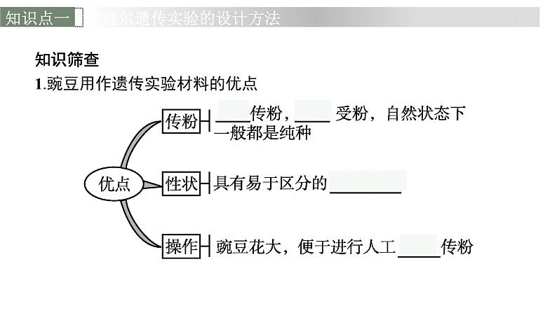 新教材高考生物一轮复习第5单元遗传因子的发现和伴性遗传第1讲孟德尔的豌豆杂交实验(一)课件06