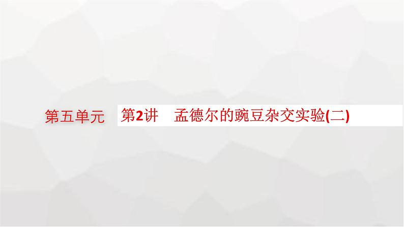 新教材高考生物一轮复习第5单元遗传因子的发现和伴性遗传第2讲孟德尔的豌豆杂交实验(二)课件01