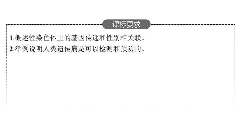 新教材高考生物一轮复习第5单元遗传因子的发现和伴性遗传第3讲基因在染色体上、伴性遗传、人类遗传病课件02