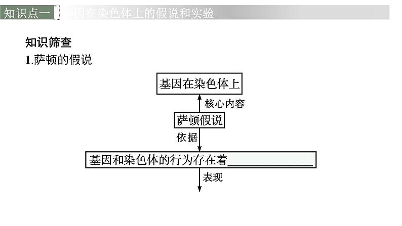 新教材高考生物一轮复习第5单元遗传因子的发现和伴性遗传第3讲基因在染色体上、伴性遗传、人类遗传病课件06