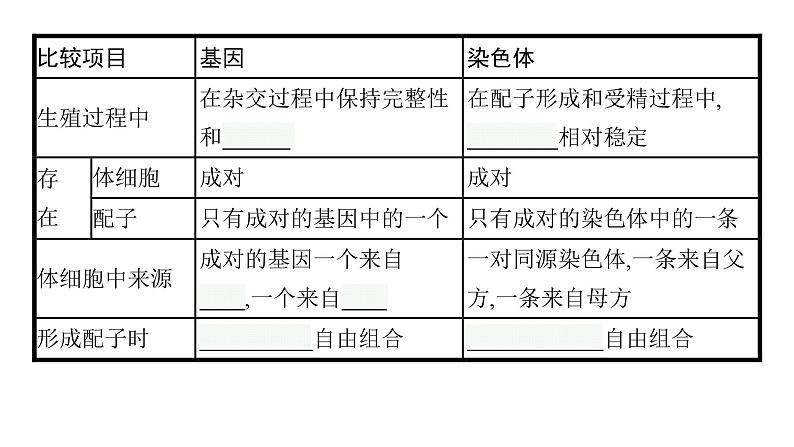 新教材高考生物一轮复习第5单元遗传因子的发现和伴性遗传第3讲基因在染色体上、伴性遗传、人类遗传病课件07