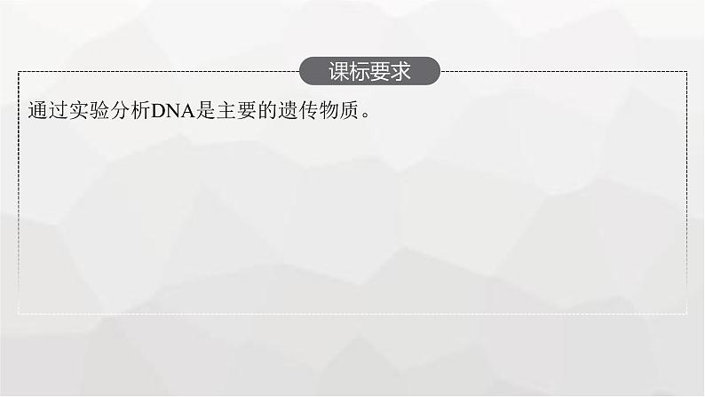 新教材高考生物一轮复习第6单元基因的本质与表达第1讲DNA是主要的遗传物质课件02